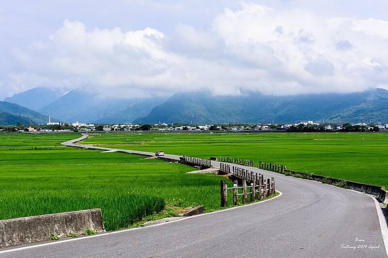 Chishang (Alternative: East Rift Valley): Rice paddies at Chishang