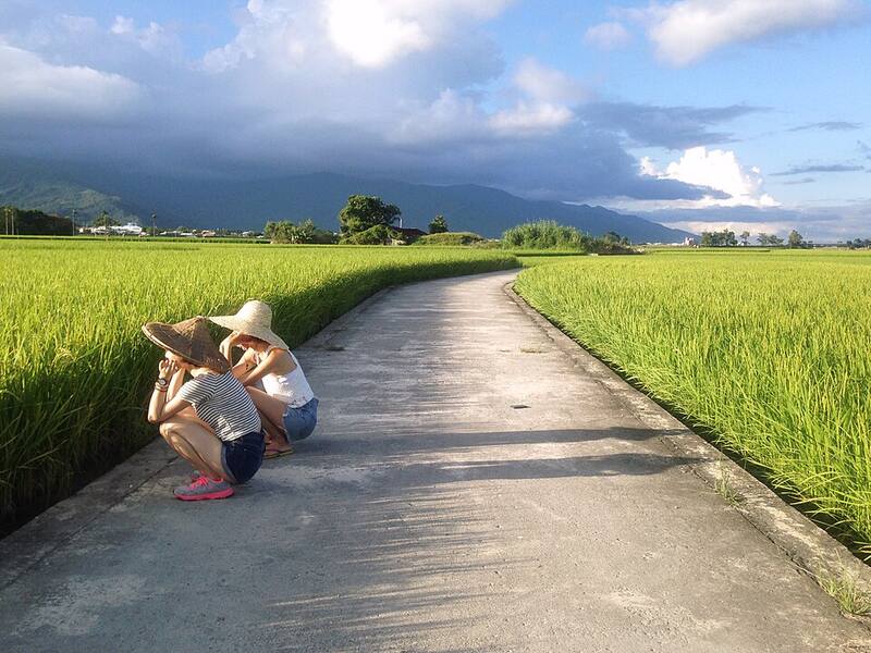 Chishang (Alternative: East Rift Valley): Rice fields beside Brown Boulevard