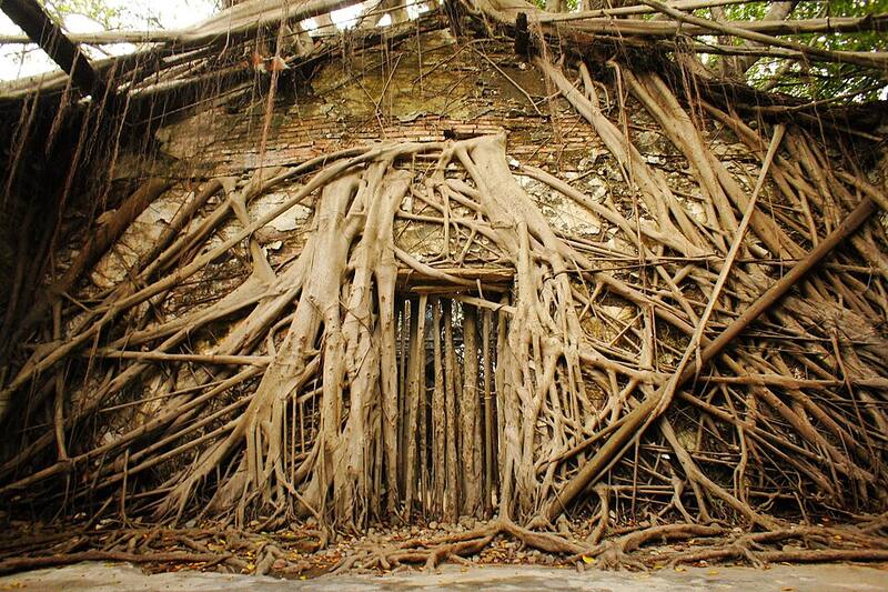 Anping Tree House: A building wrapped in tree roots